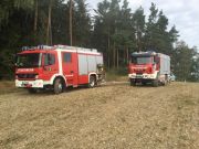Mittelbrand Wald